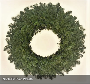 Noble Fir Plain Wreath